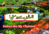 Ihsanu si dosti lagna | انسانوں سے دوستی لگانا | qarar__typist
