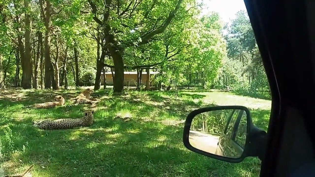 World’s Deadliest - Um Haaresbreite Staffel 1 Folge 3 HD Deutsch