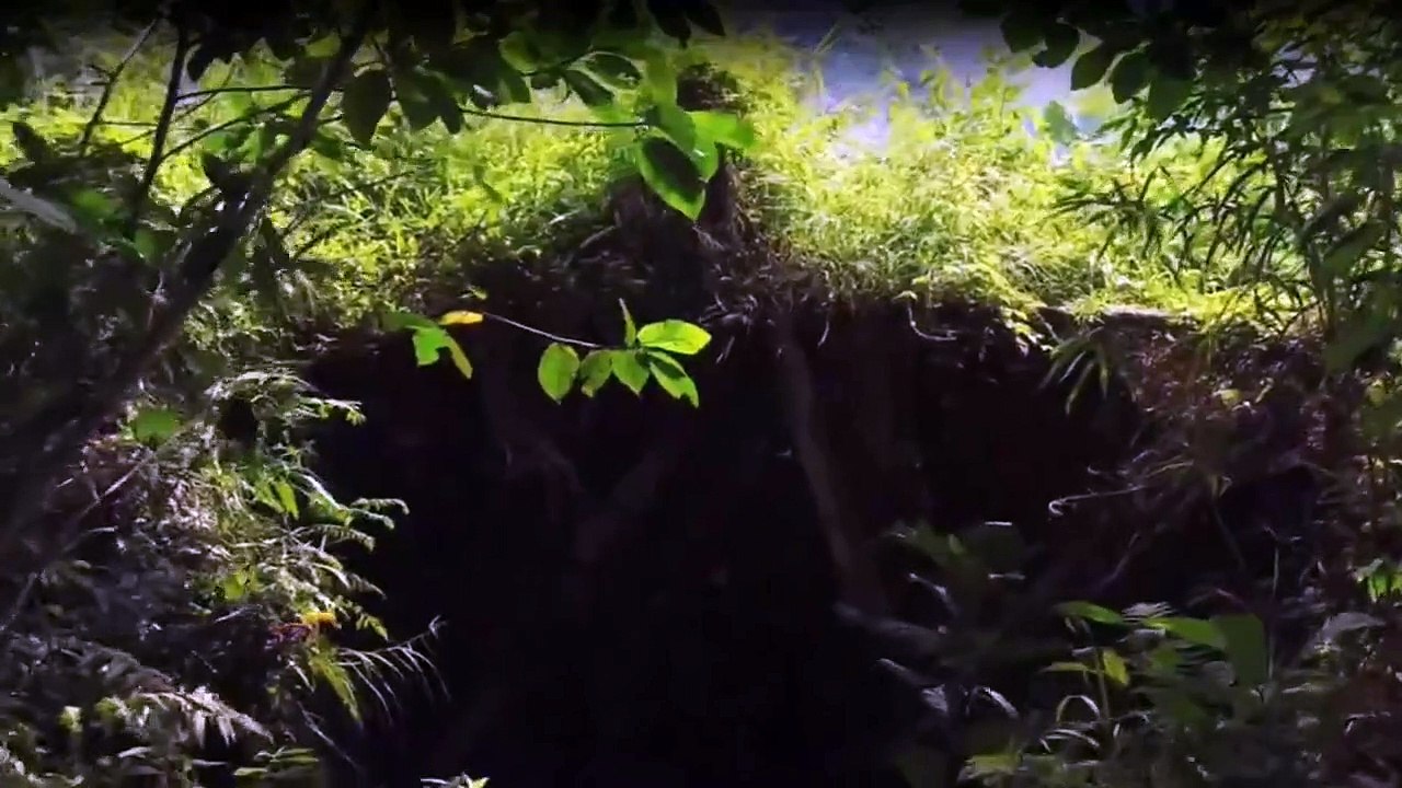 Yamashitas Gold - Der Fluch des Pazifiks Staffel 1 Folge 1 HD Deutsch