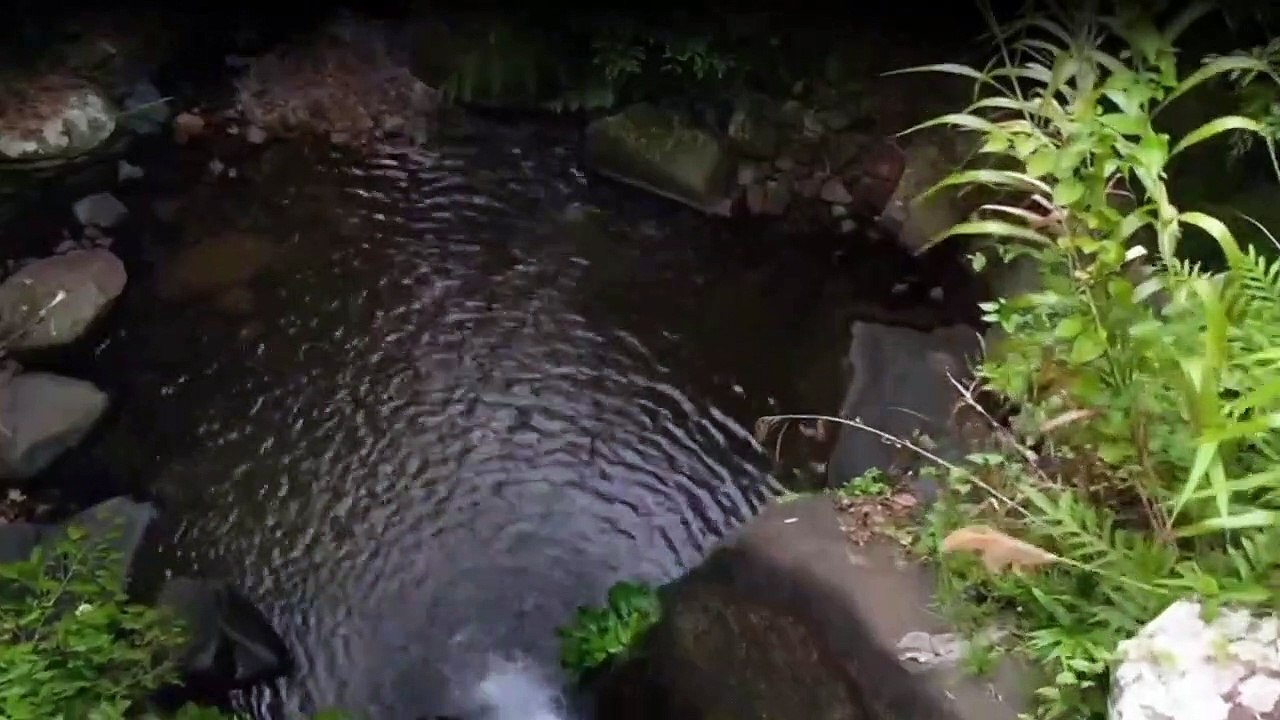 Yamashitas Gold - Der Fluch des Pazifiks Staffel 1 Folge 2 HD Deutsch