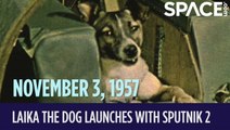 OTD in Space -  Nov. 3: Laika the Dog Launches with Sputnik 2