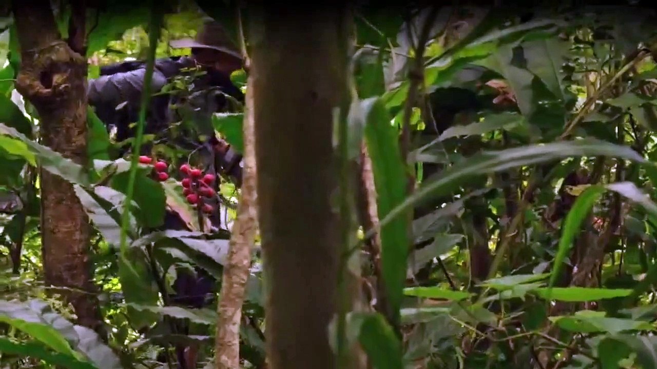 Yamashitas Gold - Der Fluch des Pazifiks Staffel 2 Folge 2 HD Deutsch