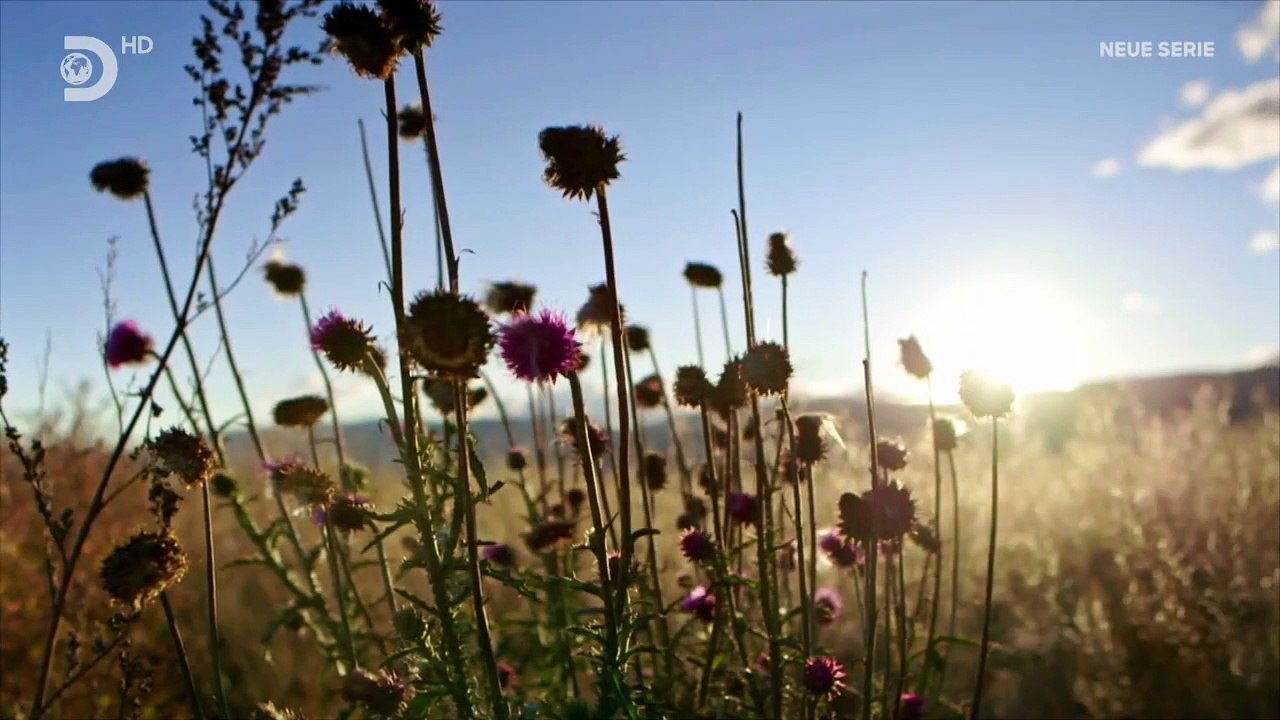 Mad Dog - Ein Schmied für alle Fälle Staffel 1 Folge 1 HD Deutsch