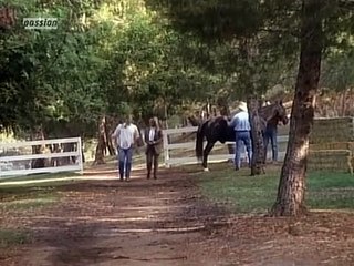 Unter der Sonne Kaliforniens Staffel 12 Folge 8 HD Deutsch