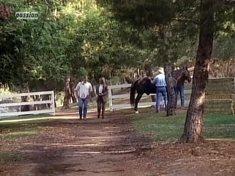 Unter der Sonne Kaliforniens Staffel 12 Folge 8 HD Deutsch