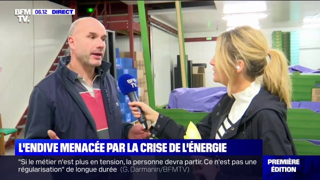 Les producteurs d'endive menacés par l'explosion des prix de l'énergie