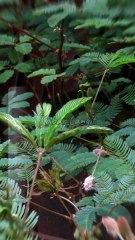 Dunia Ini Hanya Setets Air