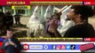 News from Cuba Today / Controversy over young people dressed as the Ku Klux Klan on the eve of Halloween