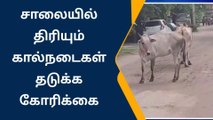 சாத்தூரில் சாலைகளி சுற்றி திரியும் கால்நடைகள்;பொதுமக்கள் அவதி