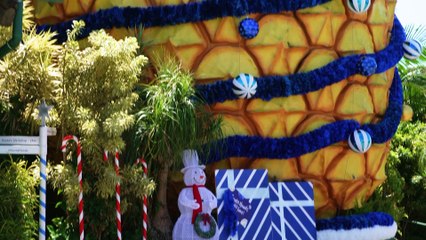 BIG W lights up the Big Golden Guitar - Northern Daily Leader - 3/11/2022