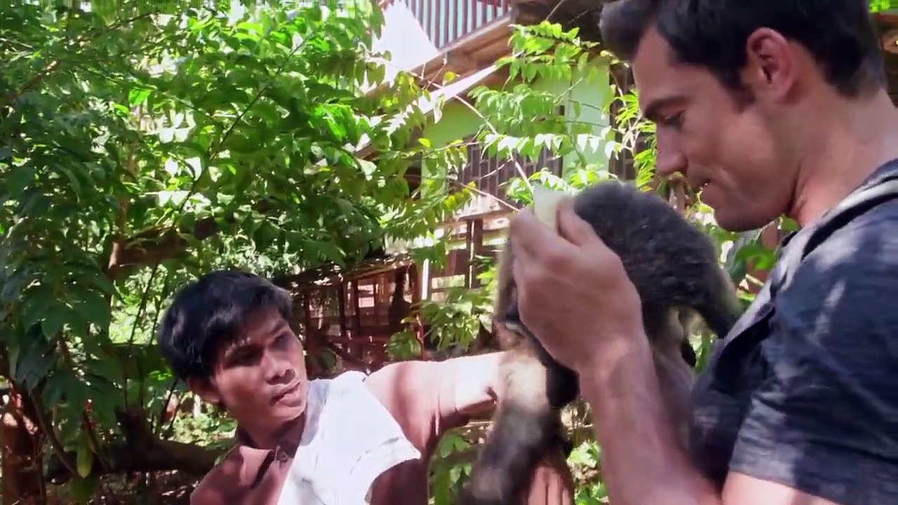 Evan Goes Wild - Se1 - Ep02 - Baby Bearcat Rescue HD Watch HD Deutsch