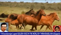 Old Is Gold (evergreen) T M Soundararajan Legend Vol 233 Horse Song 6