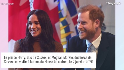 Ce sublime et méconnu château que Charles III voulait offrir à Meghan et Harry... révélations !