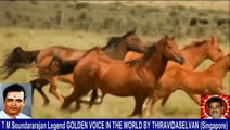 Old Is Gold (evergreen) T M Soundararajan Legend Vol 239 Horse Song 12