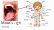 Learn Body Parts in English  Learn Human body Parts for the body in English Preschool Learning