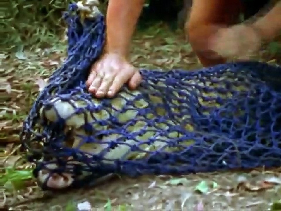 The Crocodile Hunter - Ep01 HD Watch HD Deutsch