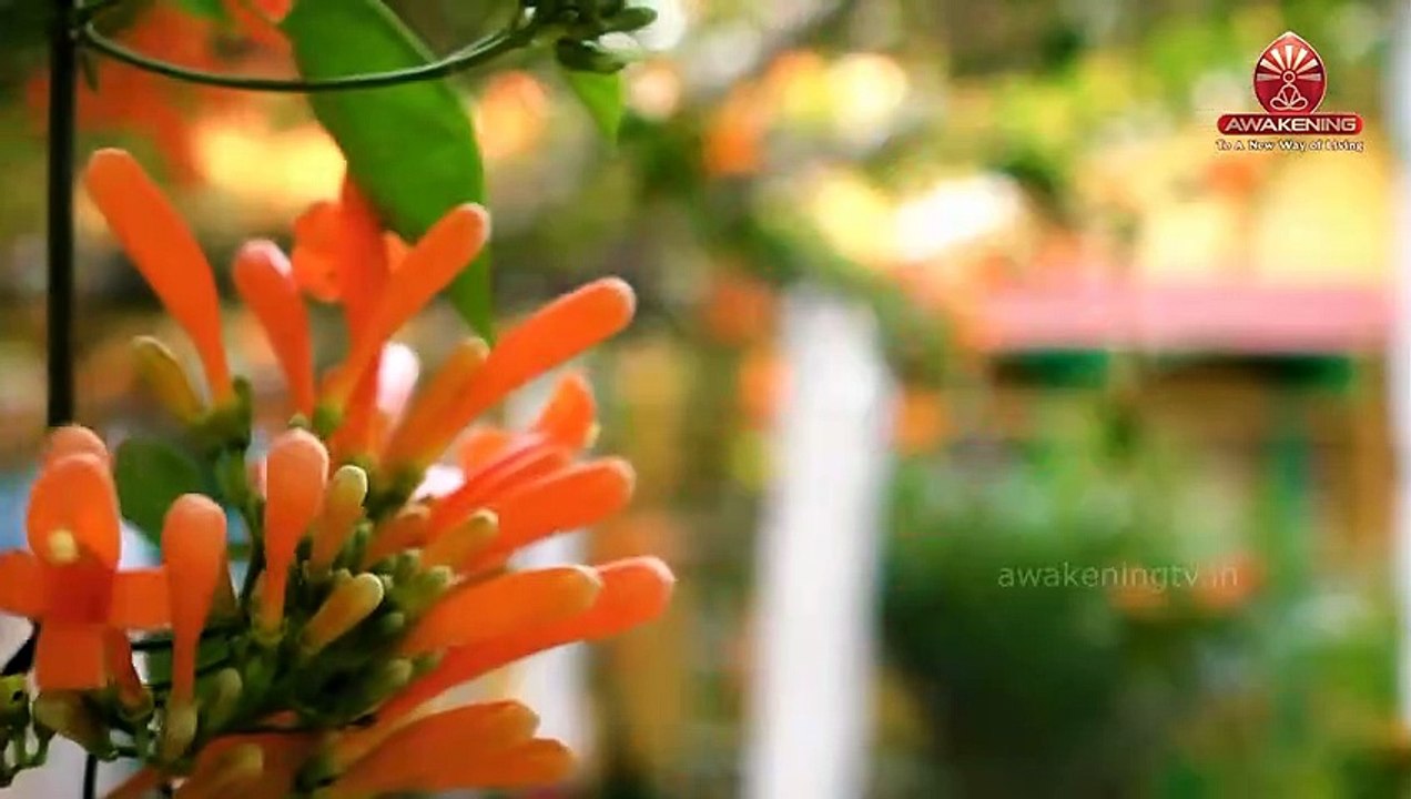 CÂU CHUYỆN THÁNH THIỆN