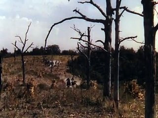 Le brigand bien-aimé Bande-annonce (EN)