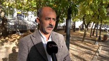 Bitlis'te manda popülasyonu artmaya devam ediyor