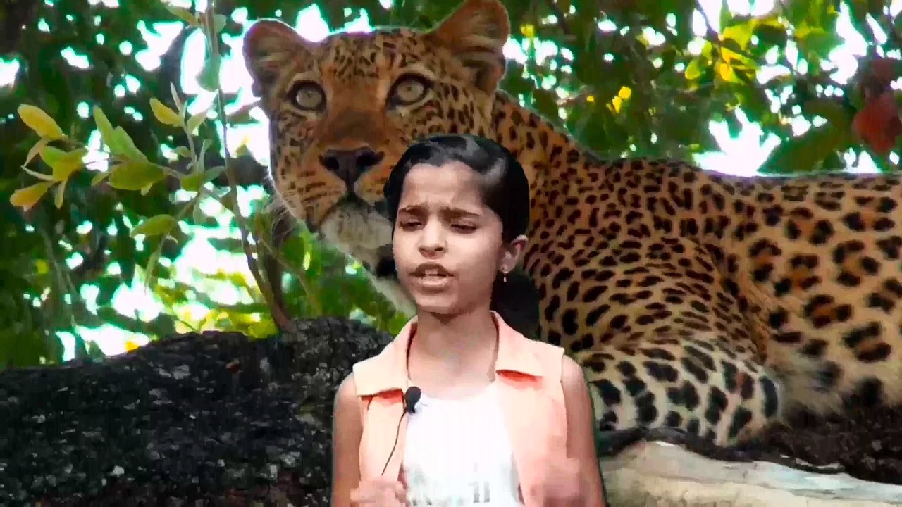 What Are 5 Interesting Facts About Leopard?-Information About Leopard In English  #kuberclasses