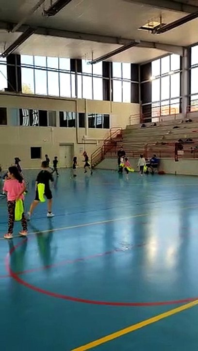 STAGE HANDBALL TDCHB VACCANCES D'AUTOMNE 2 ET 3 NOVEMBRE