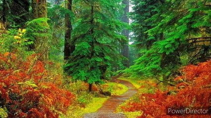 दूसरो को नही अपनी आदत को बदले।#viral#viralvedio#motivation