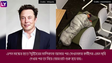 Elon Musk: চাকরির ভয়, অফিসেই ঘুম ট্যুইটারের কর্মীর