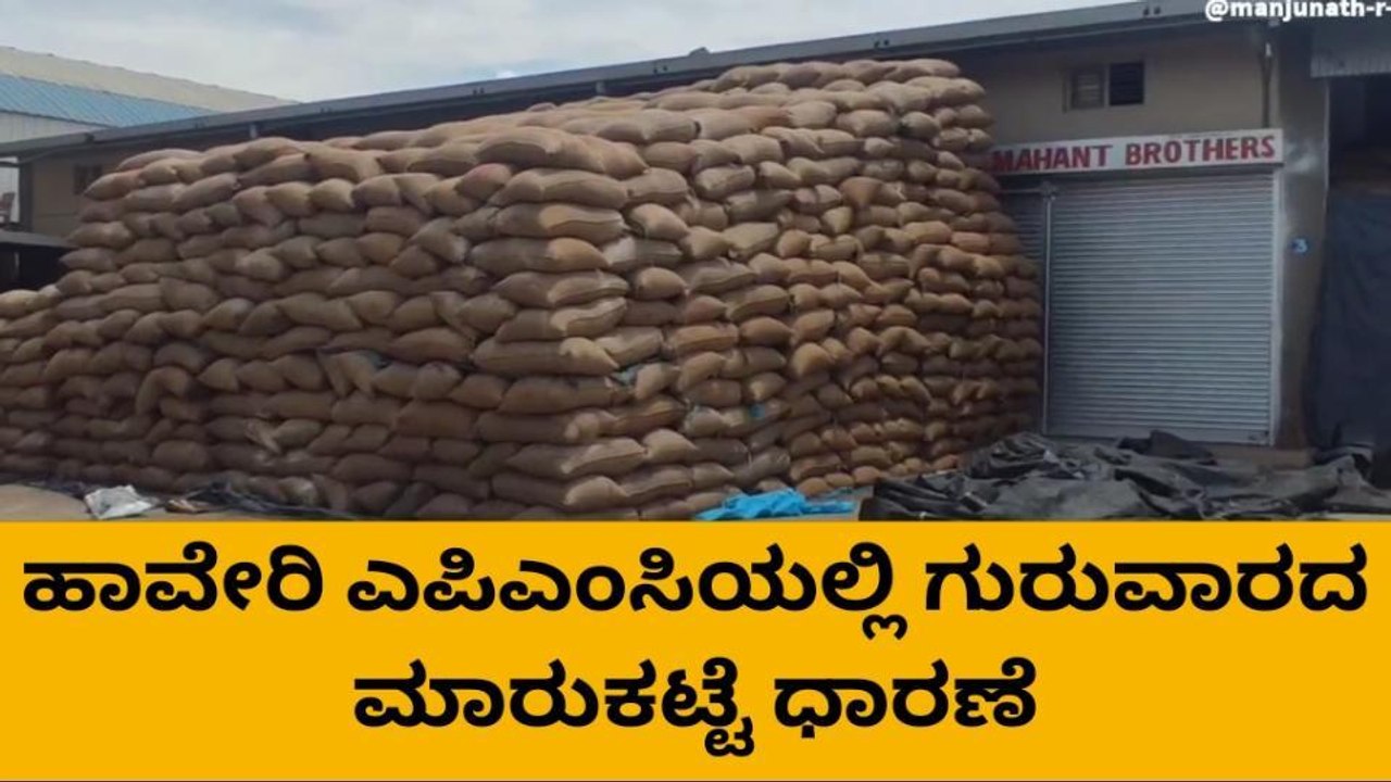 ಹಾವೇರಿ: ಎಪಿಎಂಸಿಯಲ್ಲಿ ಇಂದಿನ ಮಾರುಕಟ್ಟೆ ಧಾರಣೆ