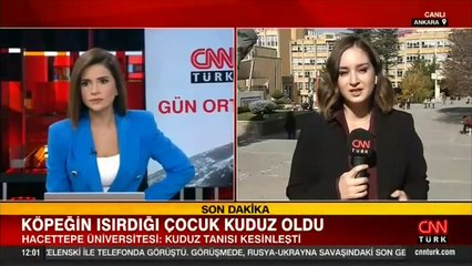 Son dakika... Bitlis’te kuduz paniği: Hastanelik olan 2 çocuk hakkında açıklama