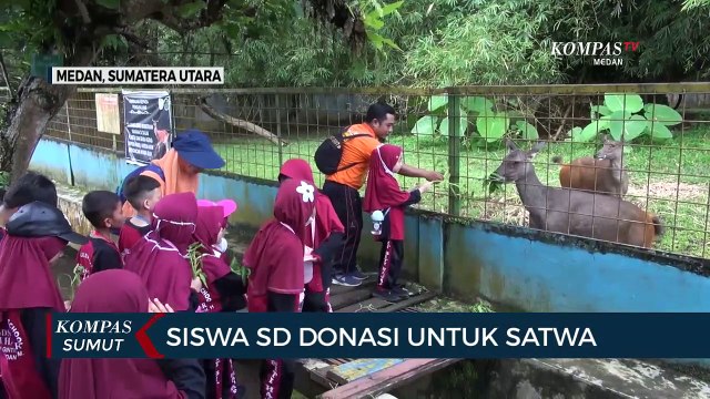 Siswa SD di Medan Galang Donasi untuk Satwa