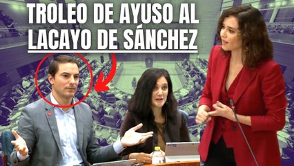 Grandioso troleo de Ayuso a al lacayo de Pedro Sánchez en plena Asamblea a la vista de todos