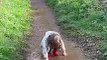Wicksteed Park World Puddle Jumping Champion 2022