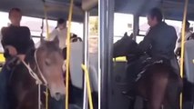 Kars'ta bir vatandaşın atıyla birlikte otobüse bindiği anlar sosyal medyada gündem oldu