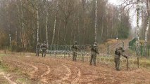 Kritik aus Deutschland: Polen baut Zaun an Grenze zu Kaliningrad