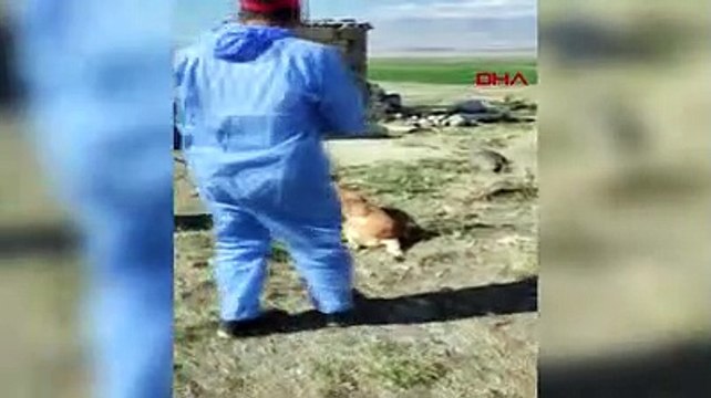 Köpek ısıran 2 çocuktan birine kuduz teşhisi