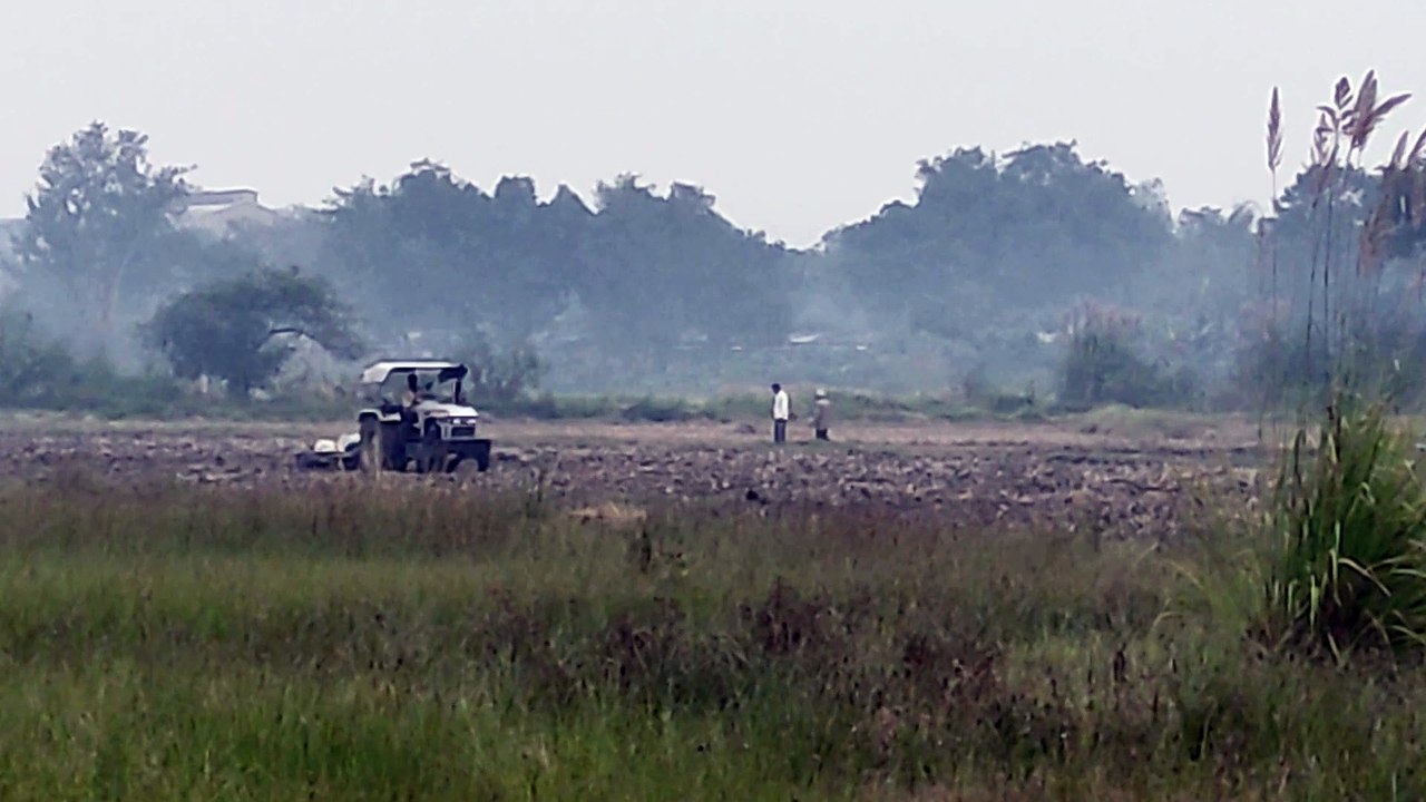 Organic Farming| Greenary Farming|Healthy #trending #Featured