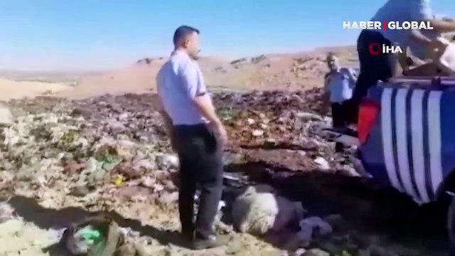 Skandal görüntüler! Piyasaya sürülmek üzere 1 ton bozuk tavuk eti ele geçirildi