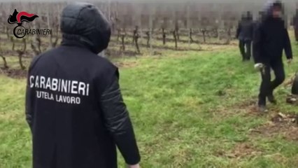 Arrestati a Ferrara due pachistani per sfruttamento del lavoro