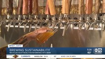 Recycled Scottsdale water brewed into sustainable beer