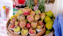 Cactus Cocktails: Overcoming Penghu Islands' Prickly Past - TaiwanPlus News