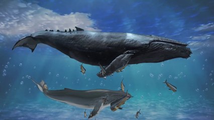 dinosaur and godzilla - ca voi - Cá voi thời tiền sử, Dinosaur and godzilla, डायनासोर और गॉडज़िला, प्रागैतिहासिक व्हेल