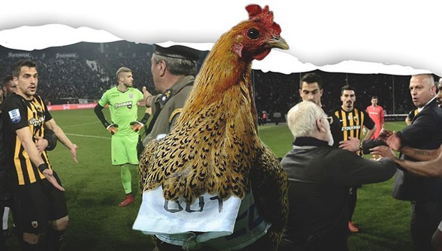 حشرات وكلاب ورئيس نادي مجنون! أغرب 9 مرات توقفت بسببها مباريات كرة القدم