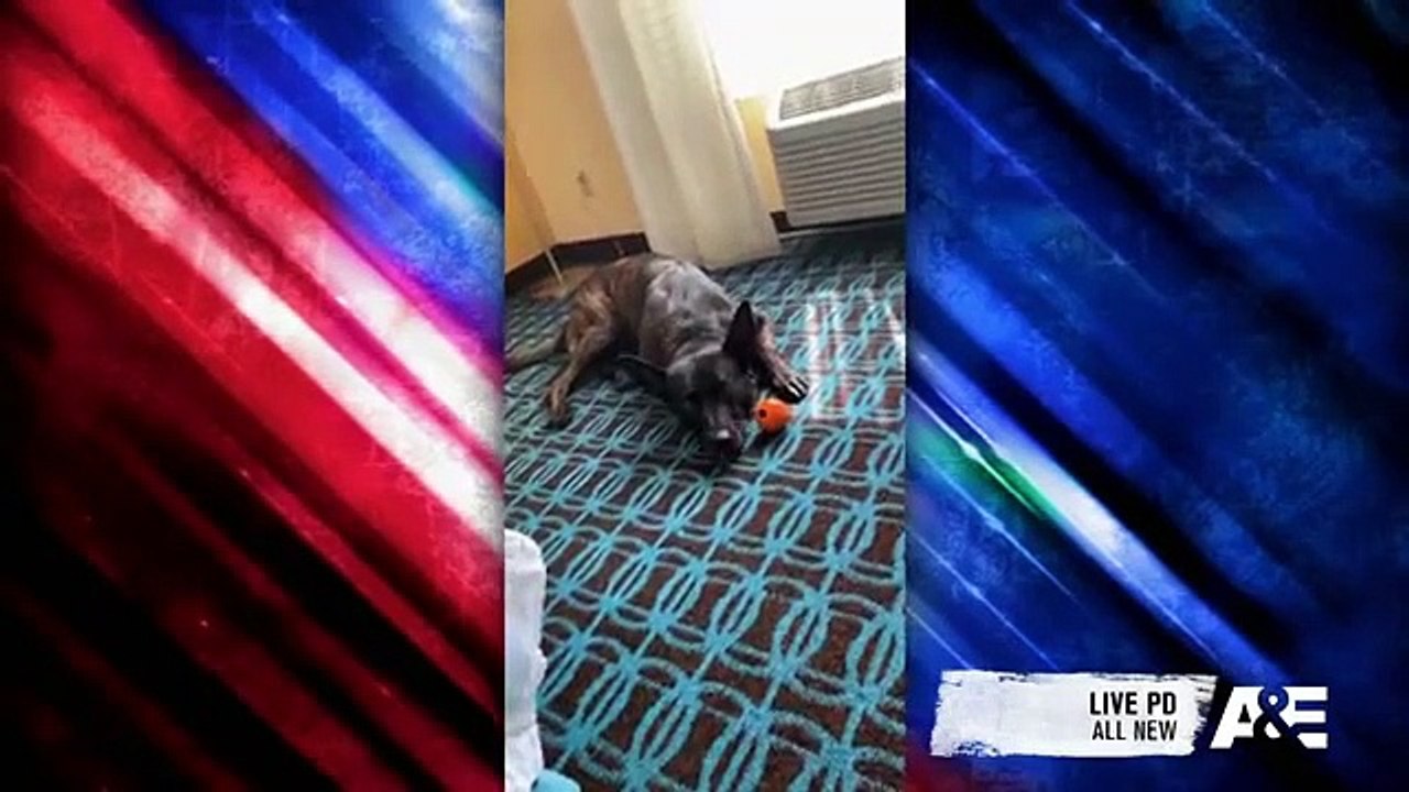 America's Top Dog - Se1 - Ep06 - Country Boys and Rescue Dogs HD Watch HD Deutsch