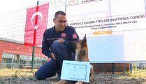 AFAD'DAN KÖPEKLİ ARAMA TİMİ SERTİFİKA TÖRENİ