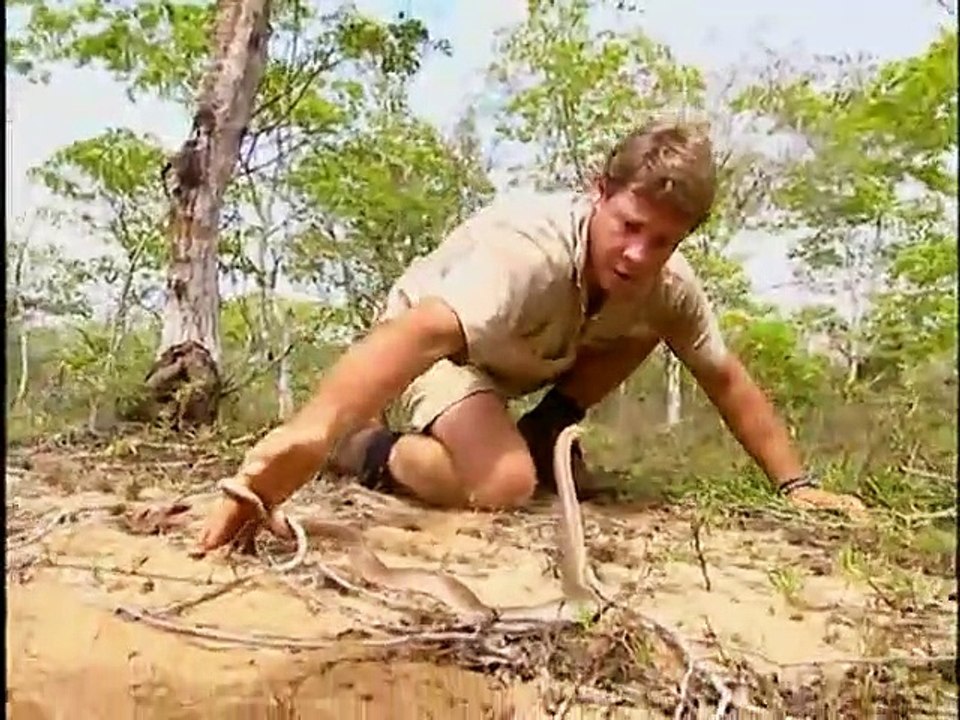 The Crocodile Hunter - Ep07 HD Watch HD Deutsch