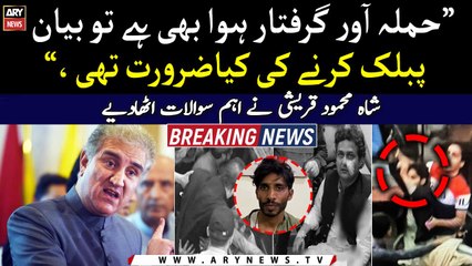Shah Mahmood Qureshi raised alarming questions regarding attacker's confession