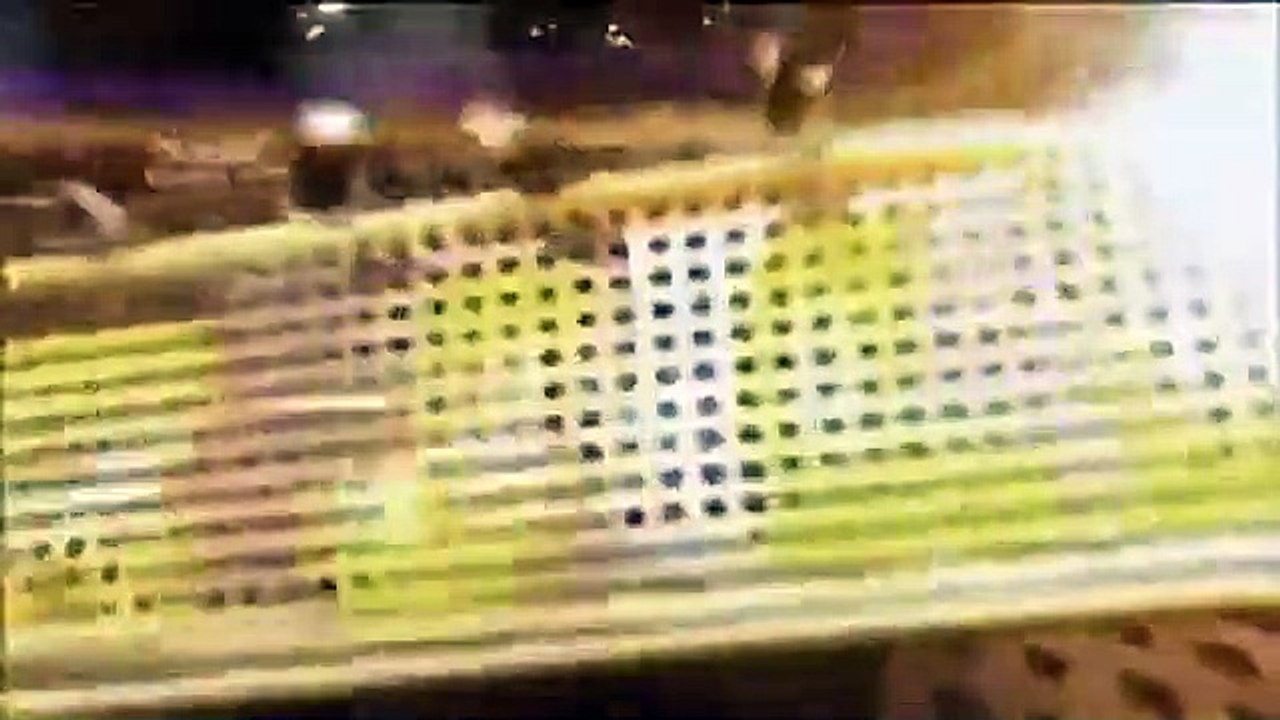 Celebrity Name Game - Se1 - Ep10 HD Watch HD Deutsch