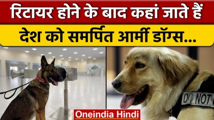 Retirement के बाद Army Dogs के साथ ऐसा क्यों किया जाता है? | वनइंडिया हिंदी *News