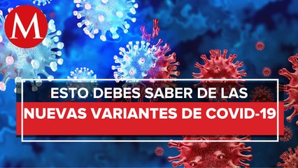 ¿Qué tan riesgosas son las nuevas variantes de covid BQ.1 y BQ.1.1?