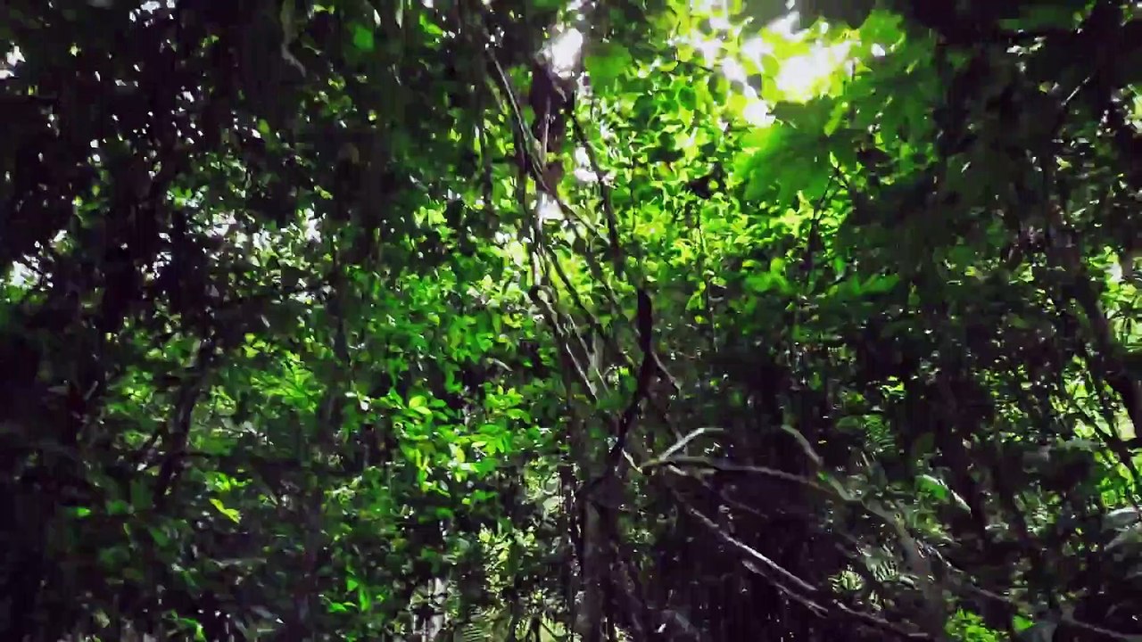 Hamilton's Pharmacopeia - Se2 - Ep03 HD Watch HD Deutsch